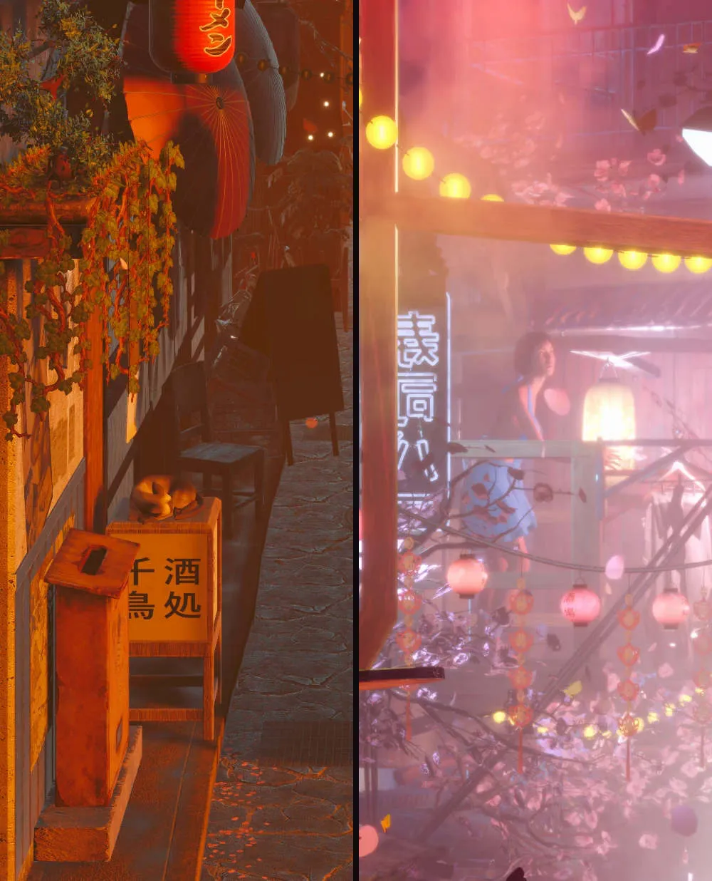 The cat asleep on a ledge in the morning, and the neighbour on her balcony at night